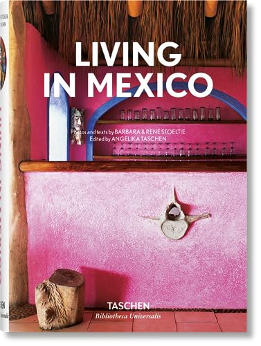 Beispielbild fr Living in Mexico zum Verkauf von LibraryMercantile