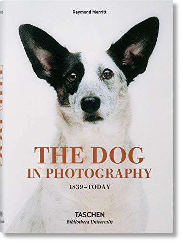 Imagen de archivo de The Dog in Photography 1839-Today (Bibliotheca Universalis) a la venta por AwesomeBooks
