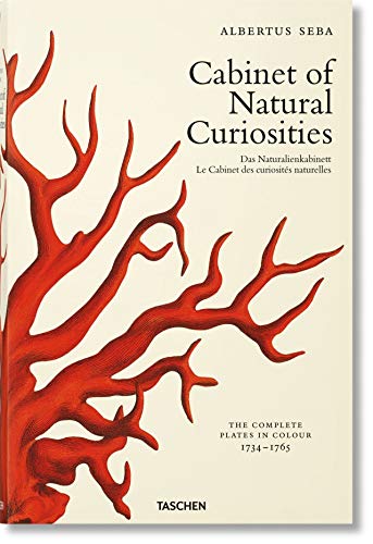 Beispielbild fr Cabinet of Natural Curiosities zum Verkauf von Libros nicos