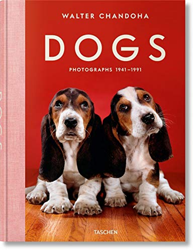 Stock image for Dogs: Photographs 1941-1991 for sale by Redux Books