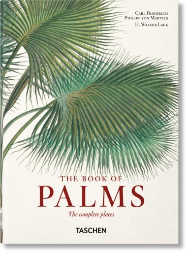 Stock image for Martius. The Book of Palms. 40th Ed. [Hardcover] Lack, H. Walter for sale by Lakeside Books