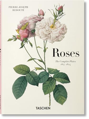Stock image for Redout - Roses for sale by Blackwell's