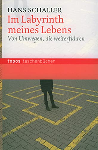 Stock image for Im Labyrinth meines Lebens: Von Umwegen, die weiterfhren for sale by medimops