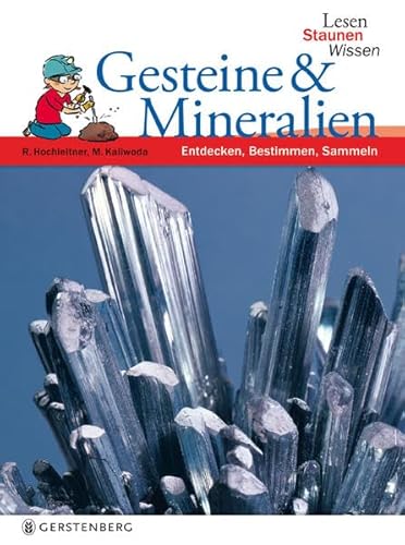 Imagen de archivo de Gesteine & Mineralien a la venta por medimops