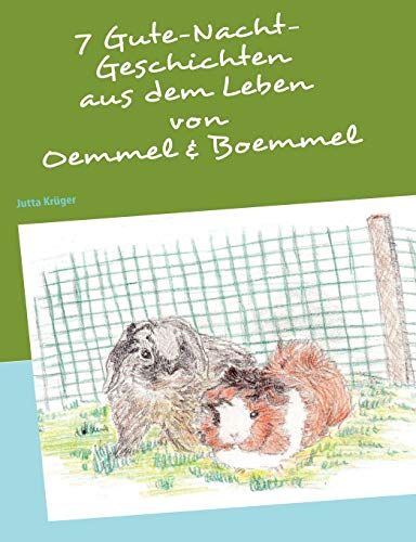 Stock image for 7 Gutenacht-Geschichten aus dem Leben von Oemmel & Boemmel for sale by medimops