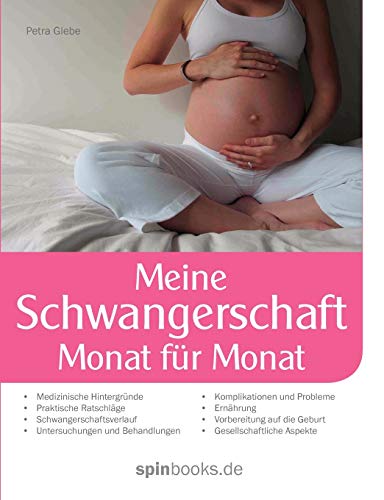 Stock image for Meine Schwangerschaft:Monat für Monat for sale by Ria Christie Collections