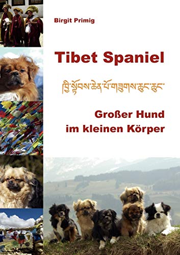 Stock image for Tibet Spaniel: Groer Hund im kleinen Krper (German Edition) for sale by Book Deals