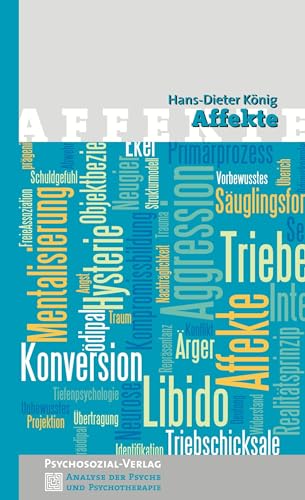 Imagen de archivo de Affekte -Language: german a la venta por GreatBookPrices