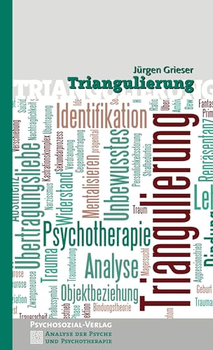 Imagen de archivo de Triangulierung -Language: german a la venta por GreatBookPrices