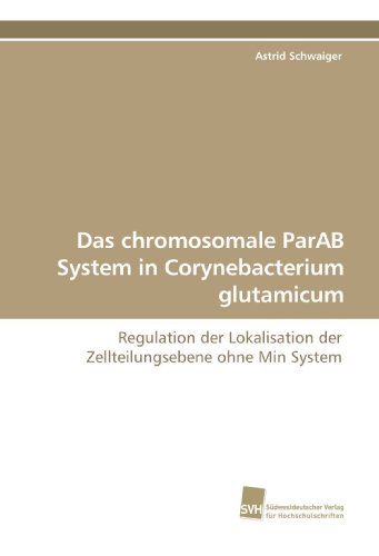 9783838109381: Das chromosomale ParAB System in Corynebacterium glutamicum: Regulation der Lokalisation der Zellteilungsebene ohne Min System