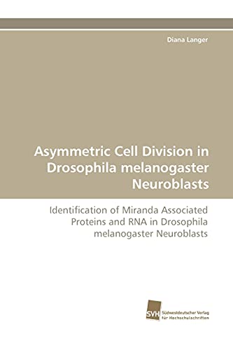Stock image for Asymmetric Cell Division in Drosophila Melanogaster Neuroblasts for sale by Chiron Media