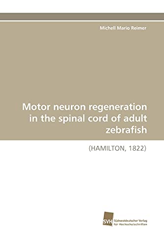 Stock image for Motor neuron regeneration in the spinal cord of adult zebrafish HAMILTON, 1822 for sale by PBShop.store US