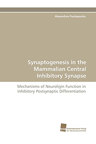9783838122663: Synaptogenesis in the Mammalian Central Inhibitory Synapse: Mechanisms of Neuroligin Function in Inhibitory Postsynaptic Differentiation