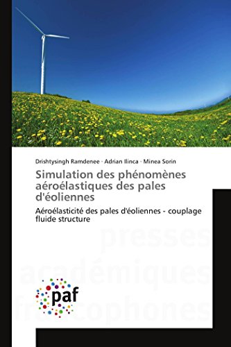 9783838148656: Simulation des phnomnes arolastiques des pales d'oliennes