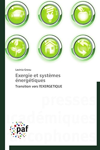 9783838149936: Exergie et systmes nergtiques: Transition vers l'EXERGETIQUE (Omn.Pres.Franc.)