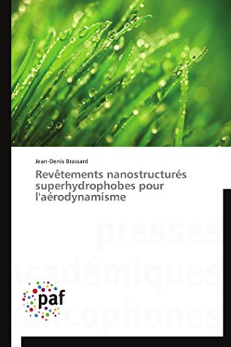 9783838177441: Revtements nanostructurs superhydrophobes pour l'arodynamisme (Omn.Pres.Franc.)