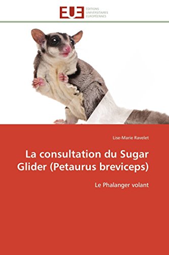 9783838180885: La consultation du sugar glider (petaurus breviceps): Le Phalanger volant