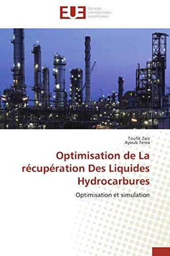 Stock image for Optimisation de La rcupration Des Liquides Hydrocarbures: Optimisation et simulation (Omn.Univ.Europ.) (French Edition) for sale by Lucky's Textbooks