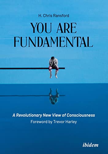 Imagen de archivo de You Are Fundamental : A Revolutionary New View of Consciousness a la venta por GreatBookPrices