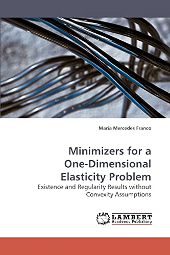 Imagen de archivo de Minimizers for a One-Dimensional Elasticity Problem a la venta por Chiron Media
