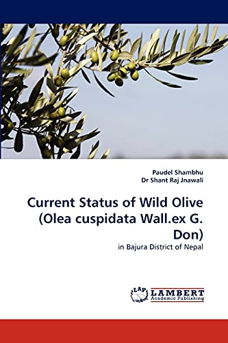 Stock image for Current Status of Wild Olive (Olea Cuspidata Wall.Ex G. Don) for sale by Chiron Media