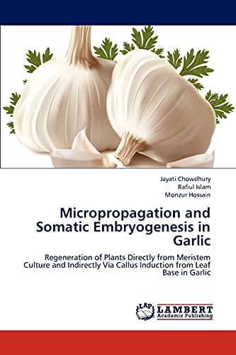 Beispielbild fr Micropropagation and Somatic Embryogenesis in Garlic: Regeneration of Plants Directly from Meristem Culture and Indirectly Via Callus Induction from Leaf Base in Garlic zum Verkauf von Lucky's Textbooks
