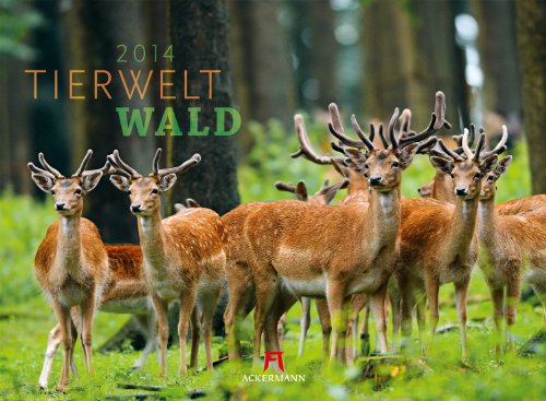 9783838414829: Tierwelt Wald 2014