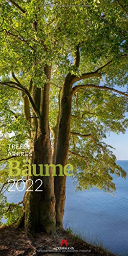 Bäume Kalender 2022, Wandkalender im Hochformat (33x66 cm) - Landschaftskalender / Naturkalender - Ackermann Kunstverlag