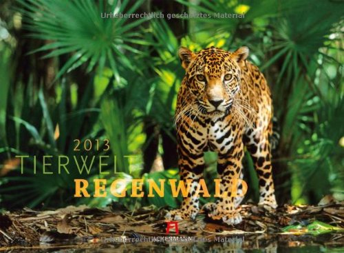 9783838423005: Tierwelt Regenwald 2013