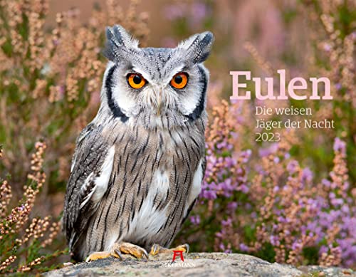 Stock image for Eulen - weise Jger der Nacht Kalender 2023, Wandkalender im Querformat (54x42 cm) - Tierkalender / Vogelkalender: Die weisen Jger der Nacht for sale by medimops