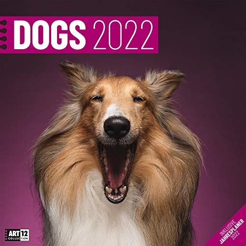 Beispielbild fr Dogs 2022, Wandkalender / Broschrenkalender im Hochformat (aufgeklappt 30x60 cm) - Hunde-Kalender mit Monatskalendarium zum Eintragen: Inklusive Jahresplaner zum Verkauf von medimops