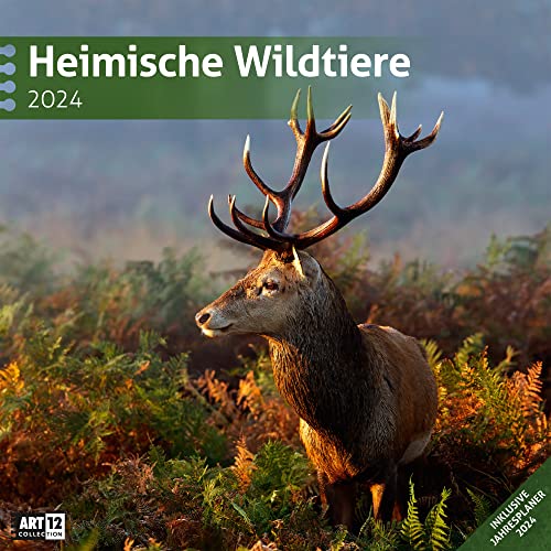 Beispielbild fr Heimische Wildtiere 2024, Wandkalender / Broschrenkalender im Hochformat (aufgeklappt 30x60 cm) - Geschenk-Kalender mit Monatskalendarium zum Eintragen zum Verkauf von medimops