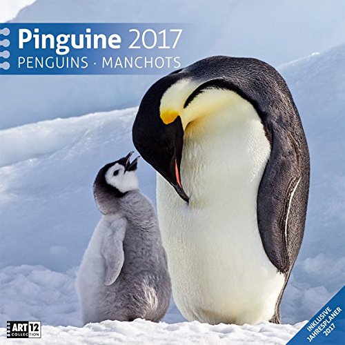 9783838457253: Pinguine 30 x 30 cm 2017