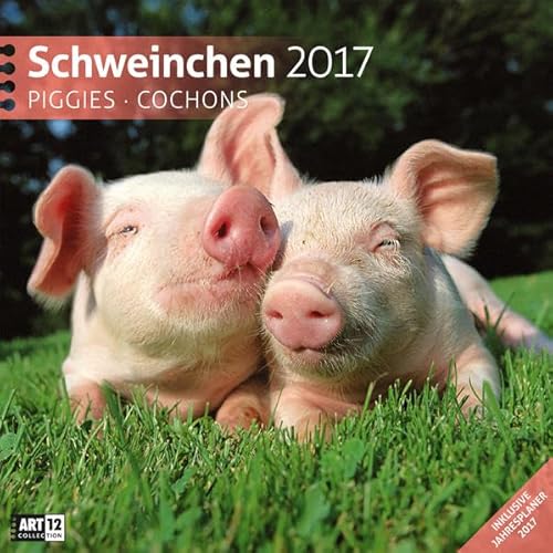 9783838457291: Schweinchen 30 x 30 cm 2017