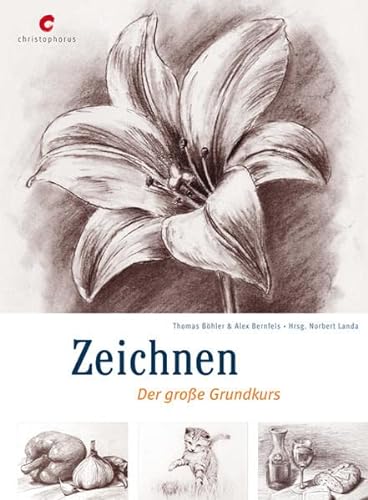 Beispielbild fr Zeichnen: Der groe Grundkurs (Gebundene Ausgabe)von Thomas Boehler (Autor), Alex Bernfels (Autor) zum Verkauf von BUCHSERVICE / ANTIQUARIAT Lars Lutzer