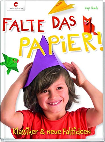 Imagen de archivo de Falte das Papier!: Klassiker & neue Faltideen a la venta por medimops