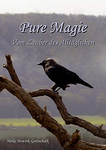 9783839101018: Pure Magie: Vom Zauber des Alltglichen