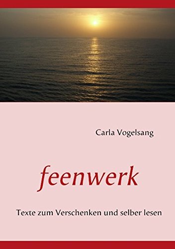 9783839103975: feenwerk (German Edition)