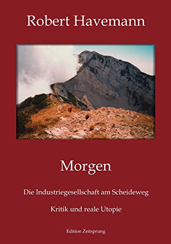 Beispielbild fr Morgen: Die Industriegesellschaft am Scheideweg. Kritik und reale Utopie zum Verkauf von medimops