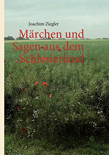 Stock image for Marchen und Sagen aus dem Schlesierland for sale by Chiron Media