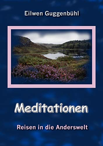 Beispielbild fr Meditationen: Reisen in die Anderswelt zum Verkauf von medimops