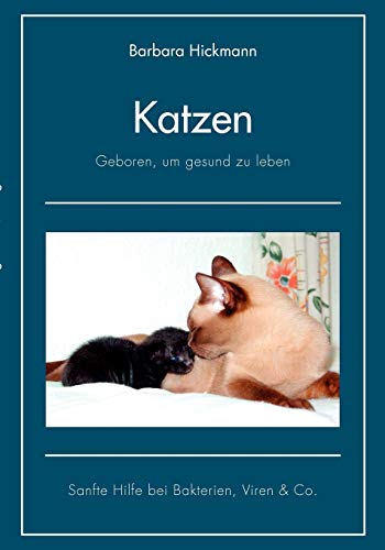 Stock image for Katzen - geboren, um gesund zu leben: Sanfte Hilfe bei Bakterien, Viren & Co for sale by medimops