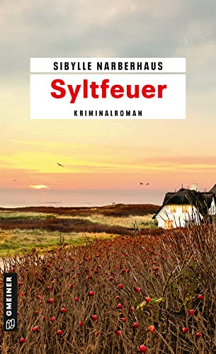 Stock image for Syltfeuer: Kriminalroman (Kriminalromane im GMEINER-Verlag) for sale by medimops