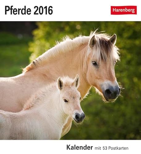 9783840012310: Pferde 2016: Kalender mit 53 Postkarten