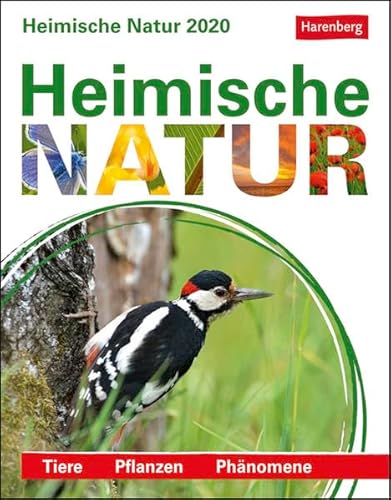 9783840021060: Lingenhhl, D: Heimische Natur 2020
