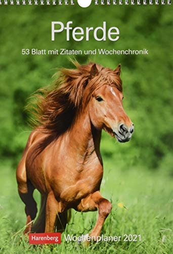 Stock image for Pferde Kalender 2021: Wochenplaner, 53 Blatt mit Zitaten und Wochenchronik for sale by medimops