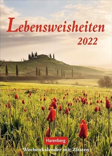 Beispielbild fr Lebensweisheiten Wochenkalender 2022 - Wandkalender mit Zitaten, Weisheiten & Aphorismen - Planer mit Platz fr Termine und Notizen - 54 Seiten - 16,5 x 23 cm: Wochenkalender mit Zitaten zum Verkauf von medimops