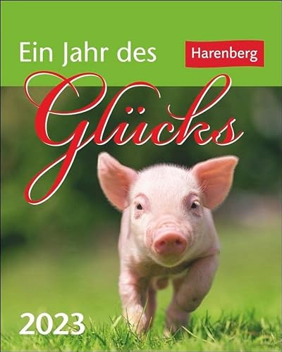 Stock image for Ein Jahr des Glcks Mini-Geschenkkalender 2023: Die schnsten Zitate for sale by medimops
