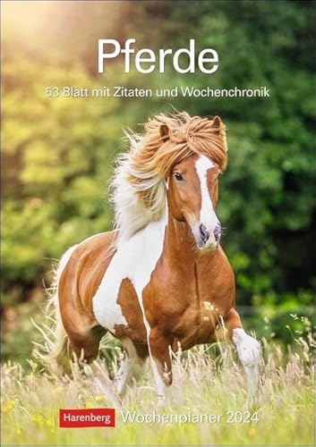 Stock image for Pferde Wochenplaner 2024: 53 Blatt mit Zitaten und Wochenchronik for sale by medimops