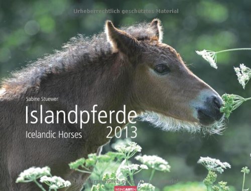 Beispielbild fr Islandpferde 2013 / Icelandic Horses 2013 / slenkir Hestar 2013 zum Verkauf von medimops